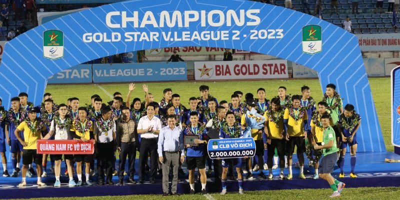 Giải hạng nhất VN là giải cấp độ 2 trong bóng đá Việt Nam 